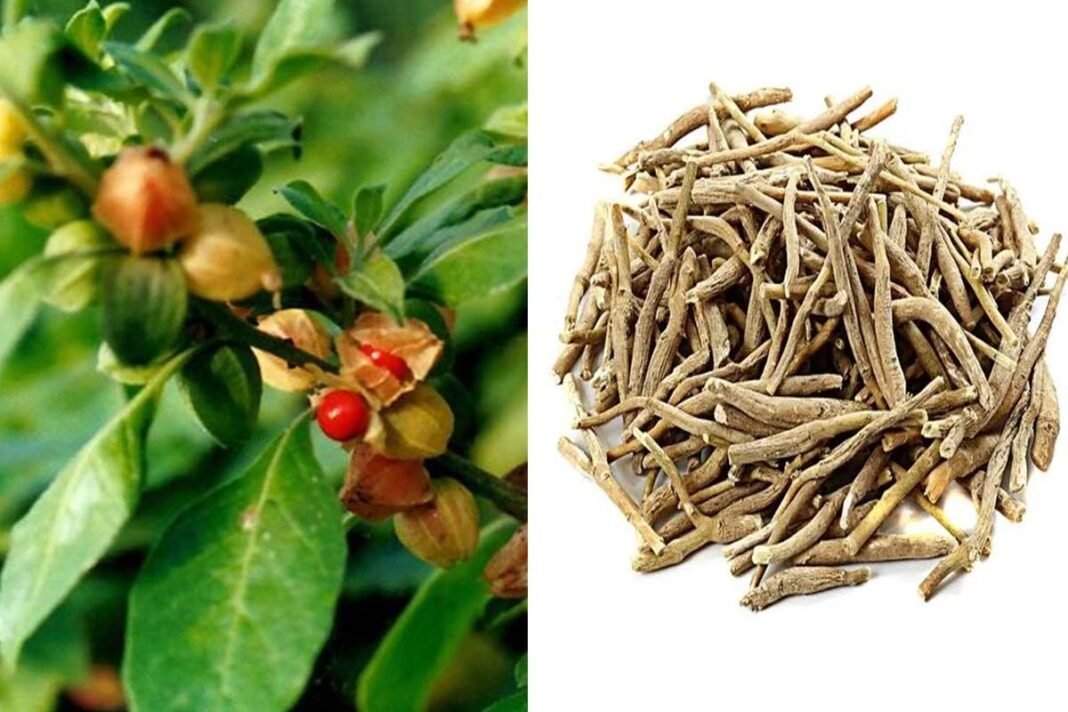 Ashwagandha