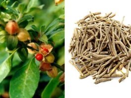 Ashwagandha