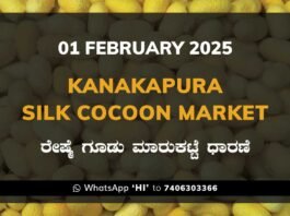 Kanakapura Silk Cocoon Market ಕನಕಪುರ ರೇಷ್ಮೆ ಗೂಡು ಮಾರುಕಟ್ಟೆ ಧಾರಣೆ