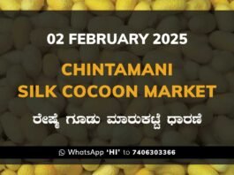 Chintamani Silk Cocoon Market ಚಿಂತಾಮಣಿ ರೇಷ್ಮೆ ಗೂಡು ಮಾರುಕಟ್ಟೆ ಧಾರಣೆ