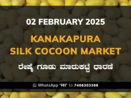 Kanakapura Silk Cocoon Market ಕನಕಪುರ ರೇಷ್ಮೆ ಗೂಡು ಮಾರುಕಟ್ಟೆ ಧಾರಣೆ