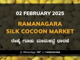 Ramanagara Silk Cocoon Market ರಾಮನಗರ ರೇಷ್ಮೆ ಗೂಡು ಮಾರುಕಟ್ಟೆ ಧಾರಣೆ