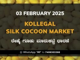 Kollegal Silk Cocoon Market Price Rate ಕೊಳ್ಳೇಗಾಲ ರೇಷ್ಮೆ ಗೂಡು ಮಾರುಕಟ್ಟೆ ಧಾರಣೆ