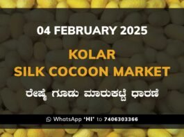 Kolar Silk Cocoon Market Price Rate ಕೋಲಾರ ರೇಷ್ಮೆ ಗೂಡು ಮಾರುಕಟ್ಟೆ ಧಾರಣೆ