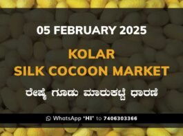 Kolar Silk Cocoon Market Price Rate ಕೋಲಾರ ರೇಷ್ಮೆ ಗೂಡು ಮಾರುಕಟ್ಟೆ ಧಾರಣೆ