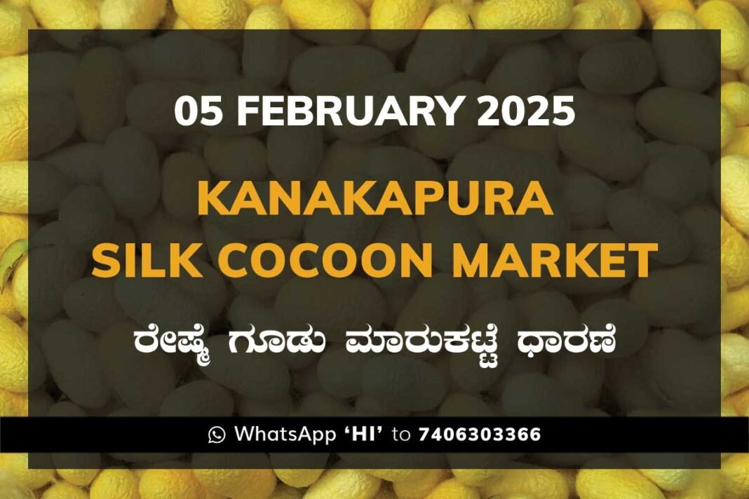 Kanakapura Silk Cocoon Market ಕನಕಪುರ ರೇಷ್ಮೆ ಗೂಡು ಮಾರುಕಟ್ಟೆ ಧಾರಣೆ