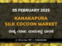 Kanakapura Silk Cocoon Market ಕನಕಪುರ ರೇಷ್ಮೆ ಗೂಡು ಮಾರುಕಟ್ಟೆ ಧಾರಣೆ