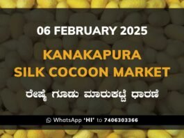 Kanakapura Silk Cocoon Market ಕನಕಪುರ ರೇಷ್ಮೆ ಗೂಡು ಮಾರುಕಟ್ಟೆ ಧಾರಣೆ