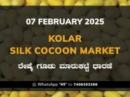 Kolar Silk Cocoon Market Price Rate ಕೋಲಾರ ರೇಷ್ಮೆ ಗೂಡು ಮಾರುಕಟ್ಟೆ ಧಾರಣೆ