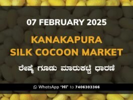 Kanakapura Silk Cocoon Market ಕನಕಪುರ ರೇಷ್ಮೆ ಗೂಡು ಮಾರುಕಟ್ಟೆ ಧಾರಣೆ