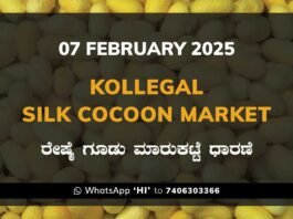 Kollegal Silk Cocoon Market Price Rate ಕೊಳ್ಳೇಗಾಲ ರೇಷ್ಮೆ ಗೂಡು ಮಾರುಕಟ್ಟೆ ಧಾರಣೆ