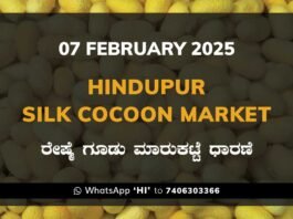 Hindupur Government Silk Cocoon Market Daily Rate Report ಹಿಂದೂಪುರ ರೇಷ್ಮೆ ಗೂಡು ಮಾರುಕಟ್ಟೆ ಧಾರಣೆ