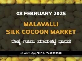 Malavalli Silk Cocoon Market Price Rate ಮಳವಳ್ಳಿ ರೇಷ್ಮೆ ಗೂಡು ಮಾರುಕಟ್ಟೆ ಧಾರಣೆ