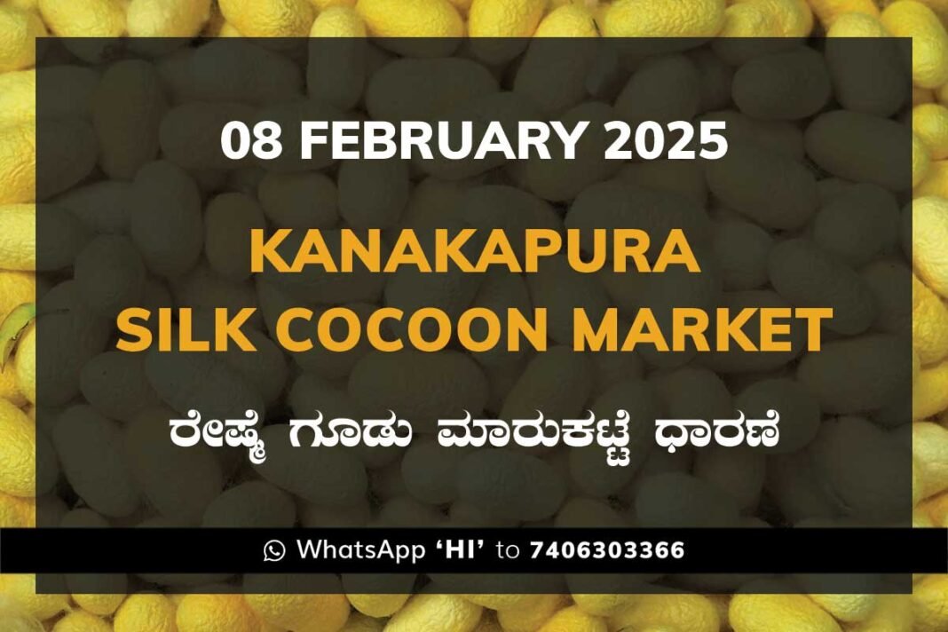 Kanakapura Silk Cocoon Market ಕನಕಪುರ ರೇಷ್ಮೆ ಗೂಡು ಮಾರುಕಟ್ಟೆ ಧಾರಣೆ