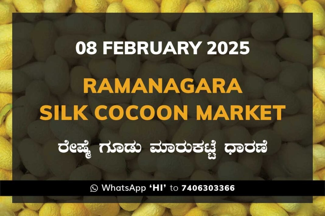 Ramanagara Silk Cocoon Market ರಾಮನಗರ ರೇಷ್ಮೆ ಗೂಡು ಮಾರುಕಟ್ಟೆ ಧಾರಣೆ