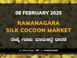 Ramanagara Silk Cocoon Market ರಾಮನಗರ ರೇಷ್ಮೆ ಗೂಡು ಮಾರುಕಟ್ಟೆ ಧಾರಣೆ