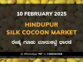 Hindupur Government Silk Cocoon Market Daily Rate Report ಹಿಂದೂಪುರ ರೇಷ್ಮೆ ಗೂಡು ಮಾರುಕಟ್ಟೆ ಧಾರಣೆ