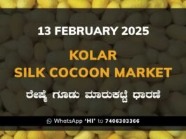 Kolar Silk Cocoon Market Price Rate ಕೋಲಾರ ರೇಷ್ಮೆ ಗೂಡು ಮಾರುಕಟ್ಟೆ ಧಾರಣೆ