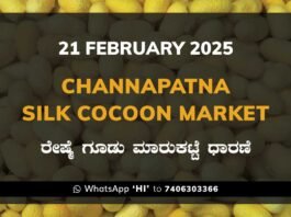 Channapatna Silk Cocoon Market Price Rate ಚನ್ನಪಟ್ಟಣ ರೇಷ್ಮೆ ಗೂಡು ಮಾರುಕಟ್ಟೆ ಧಾರಣೆ