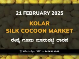 Kolar Silk Cocoon Market Price Rate ಕೋಲಾರ ರೇಷ್ಮೆ ಗೂಡು ಮಾರುಕಟ್ಟೆ ಧಾರಣೆ