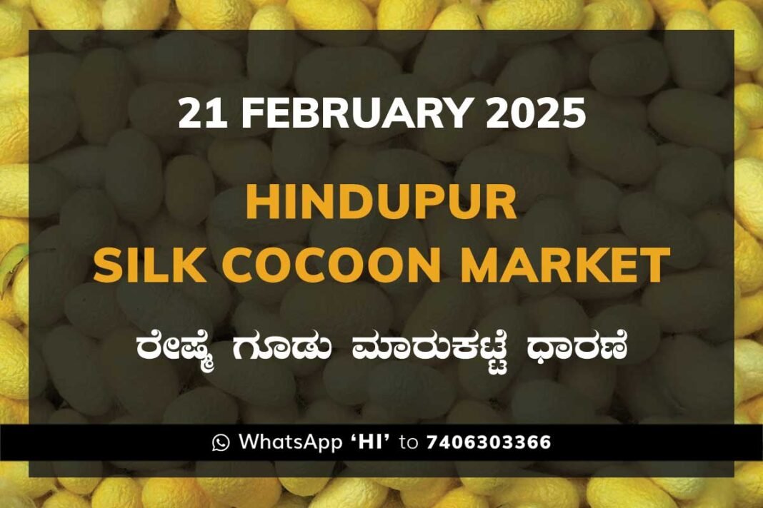 Hindupur Government Silk Cocoon Market Daily Rate Report ಹಿಂದೂಪುರ ರೇಷ್ಮೆ ಗೂಡು ಮಾರುಕಟ್ಟೆ ಧಾರಣೆ