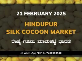 Hindupur Government Silk Cocoon Market Daily Rate Report ಹಿಂದೂಪುರ ರೇಷ್ಮೆ ಗೂಡು ಮಾರುಕಟ್ಟೆ ಧಾರಣೆ