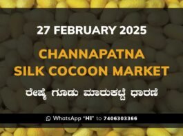 Channapatna Silk Cocoon Market Price Rate ಚನ್ನಪಟ್ಟಣ ರೇಷ್ಮೆ ಗೂಡು ಮಾರುಕಟ್ಟೆ ಧಾರಣೆ