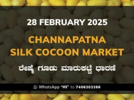 Channapatna Silk Cocoon Market Price Rate ಚನ್ನಪಟ್ಟಣ ರೇಷ್ಮೆ ಗೂಡು ಮಾರುಕಟ್ಟೆ ಧಾರಣೆ