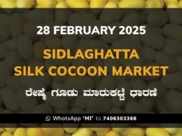 Sidlaghatta Silk Cocoon Market Price Rate ಶಿಡ್ಲಘಟ್ಟ ರೇಷ್ಮೆ ಗೂಡು ಮಾರುಕಟ್ಟೆ ಧಾರಣೆ