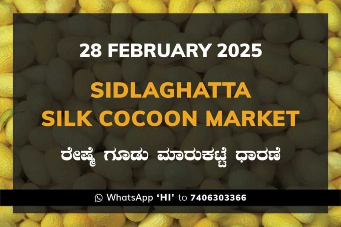 28FebKi Sidlaghatta Silk Cocoon Market Price Rate ಶಿಡ್ಲಘಟ್ಟ ರೇಷ್ಮೆ ಗೂಡು ಮಾರುಕಟ್ಟೆ ಧಾರಣೆ