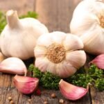Garlic