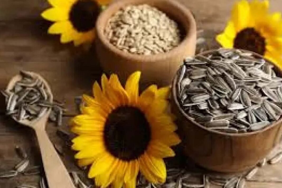 sunflower seeds