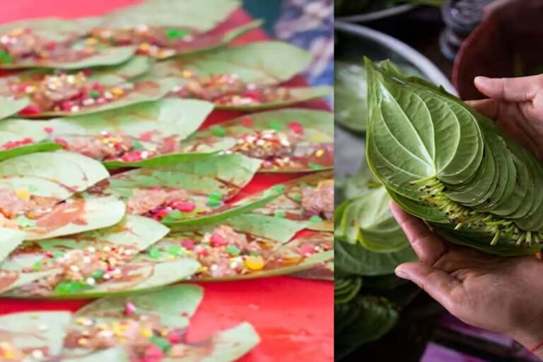 Betel leaves