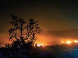 Chikkamagaluru forest fire