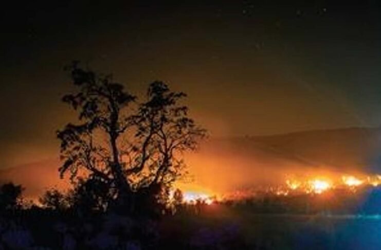 Chikkamagaluru forest fire