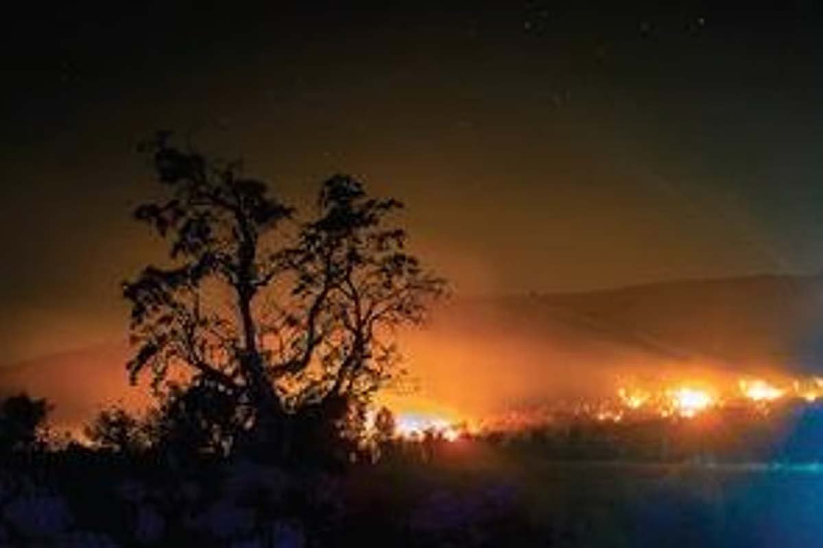 Chikkamagaluru forest fire