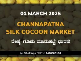 Channapatna Silk Cocoon Market Price Rate ಚನ್ನಪಟ್ಟಣ ರೇಷ್ಮೆ ಗೂಡು ಮಾರುಕಟ್ಟೆ ಧಾರಣೆ