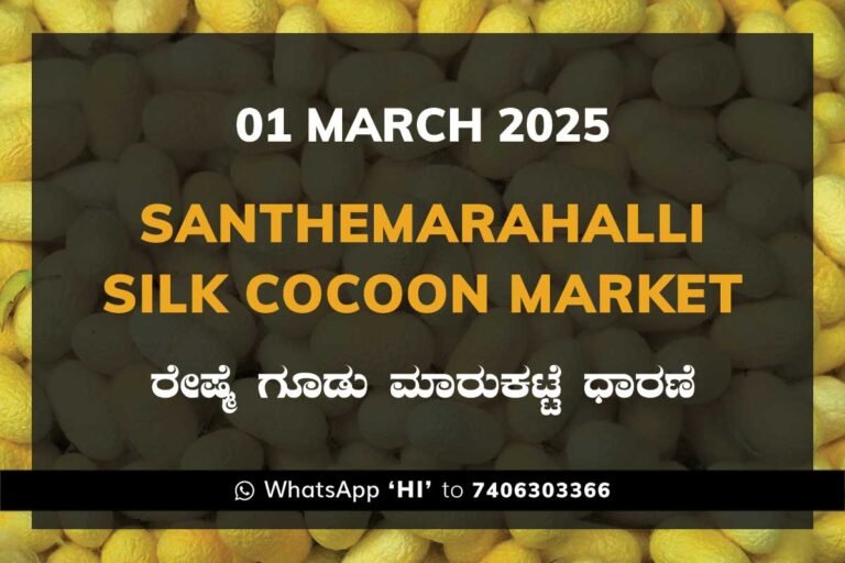 Silk Santhemarahalli Santemarahalli Government Cocoon Market ಸಂತೇಮರಹಳ್ಳಿ ರೇಷ್ಮೆ ಗೂಡು ಮಾರುಕಟ್ಟೆ ಧಾರಣೆ