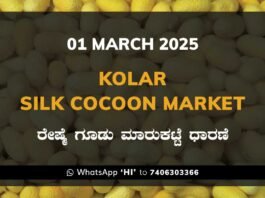 Kolar Silk Cocoon Market Price Rate ಕೋಲಾರ ರೇಷ್ಮೆ ಗೂಡು ಮಾರುಕಟ್ಟೆ ಧಾರಣೆ