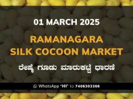 Ramanagara Silk Cocoon Market ರಾಮನಗರ ರೇಷ್ಮೆ ಗೂಡು ಮಾರುಕಟ್ಟೆ ಧಾರಣೆ