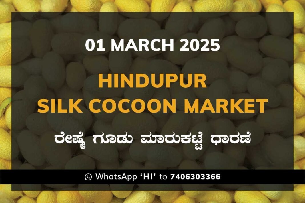 Hindupur Government Silk Cocoon Market Daily Rate Report ಹಿಂದೂಪುರ ರೇಷ್ಮೆ ಗೂಡು ಮಾರುಕಟ್ಟೆ ಧಾರಣೆ