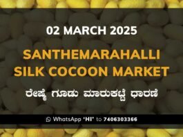 Silk Santhemarahalli Santemarahalli Government Cocoon Market ಸಂತೇಮರಹಳ್ಳಿ ರೇಷ್ಮೆ ಗೂಡು ಮಾರುಕಟ್ಟೆ ಧಾರಣೆ