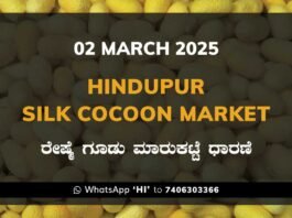 Hindupur Government Silk Cocoon Market Daily Rate Report ಹಿಂದೂಪುರ ರೇಷ್ಮೆ ಗೂಡು ಮಾರುಕಟ್ಟೆ ಧಾರಣೆ