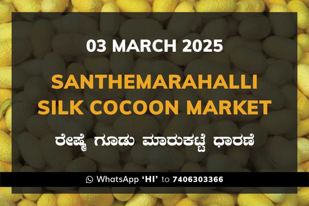 Silk Santhemarahalli Santemarahalli Government Cocoon Market ಸಂತೇಮರಹಳ್ಳಿ ರೇಷ್ಮೆ ಗೂಡು ಮಾರುಕಟ್ಟೆ ಧಾರಣೆ