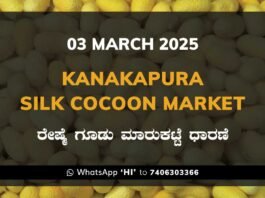 Kanakapura Silk Cocoon Market ಕನಕಪುರ ರೇಷ್ಮೆ ಗೂಡು ಮಾರುಕಟ್ಟೆ ಧಾರಣೆ