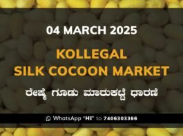 Kollegal Silk Cocoon Market Price Rate ಕೊಳ್ಳೇಗಾಲ ರೇಷ್ಮೆ ಗೂಡು ಮಾರುಕಟ್ಟೆ ಧಾರಣೆ