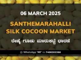 Silk Santhemarahalli Santemarahalli Government Cocoon Market ಸಂತೇಮರಹಳ್ಳಿ ರೇಷ್ಮೆ ಗೂಡು ಮಾರುಕಟ್ಟೆ ಧಾರಣೆ