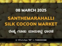 Silk Santhemarahalli Santemarahalli Government Cocoon Market ಸಂತೇಮರಹಳ್ಳಿ ರೇಷ್ಮೆ ಗೂಡು ಮಾರುಕಟ್ಟೆ ಧಾರಣೆ