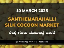 Silk Santhemarahalli Santemarahalli Government Cocoon Market ಸಂತೇಮರಹಳ್ಳಿ ರೇಷ್ಮೆ ಗೂಡು ಮಾರುಕಟ್ಟೆ ಧಾರಣೆ