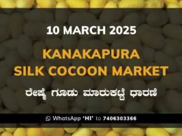 Kanakapura Silk Cocoon Market ಕನಕಪುರ ರೇಷ್ಮೆ ಗೂಡು ಮಾರುಕಟ್ಟೆ ಧಾರಣೆ